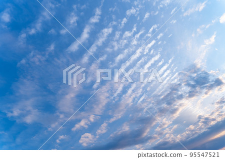 Cirrocumulus / Evening 95547521