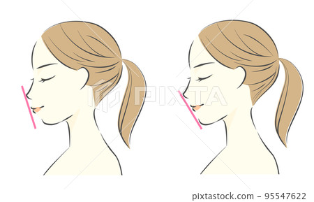 E line comparison Profile female illustration Summary hair E line comparison Profile female illustration Summary hair 95547622