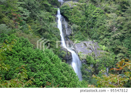 Distant view of the west waterfall of Hodo Falls, Shimizukamibun, Ino Town, Agawa County, Kochi Prefecture 95547812