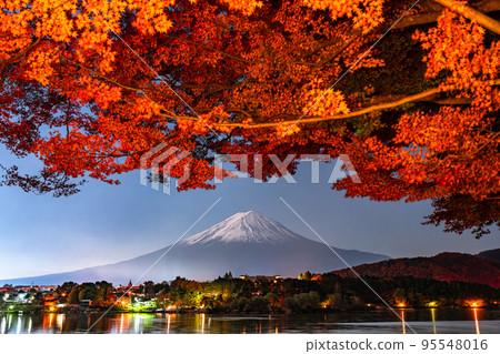 [山梨縣]秋天的富士山/秋天的紅葉拱門點燈 95548016