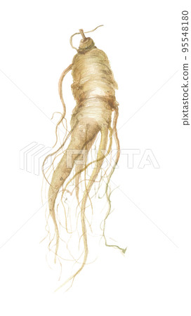 人參人參 95548180