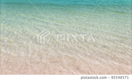 石垣島的透明海 95548571