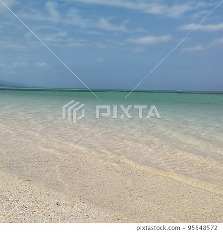 石垣島的透明海 石垣島的透明海 95548572