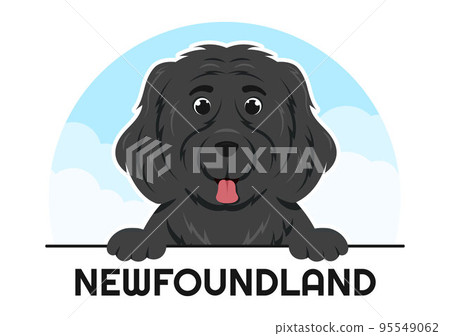 Newfoundland Dog Animals with Black, Brown or Landseer Color in Flat Style Cute Cartoon Template Hand Drawn Illustration 95549062