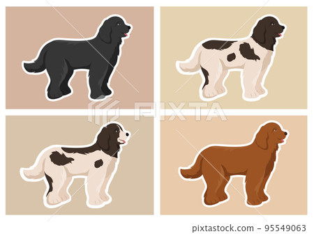 Newfoundland Dog Animals with Black, Brown or Landseer Color in Flat Style Cute Cartoon Template Hand Drawn Illustration 95549063