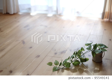 Solid floor wide pine 95549141