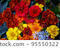Colorful flowers 95550322