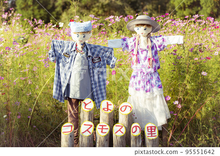 The village of Toyo no Cosmos The village of Toyo no Cosmos 95551642