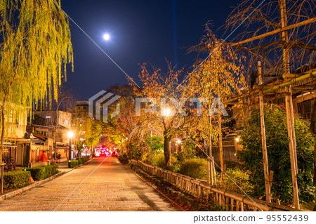 “京都府”秋天的京都祗園白川夜景 95552439