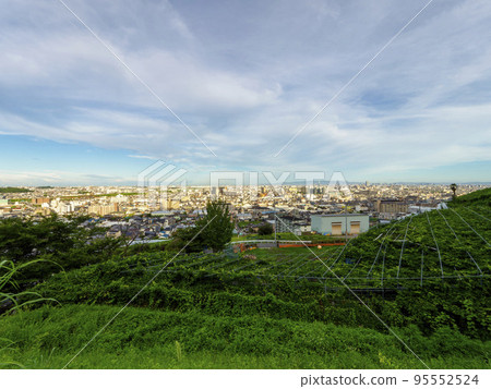 高尾葡萄園和大阪城市景觀 高尾葡萄園和大阪城市景觀 95552524