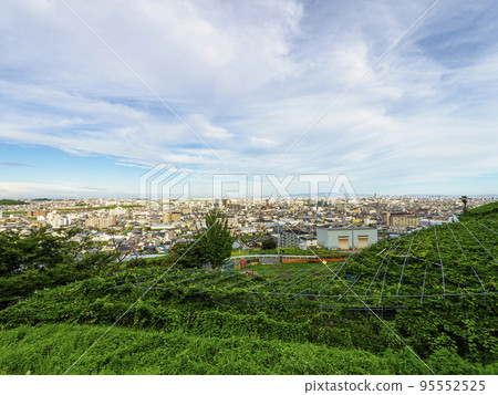 Takao vineyard and Osaka cityscape Takao vineyard and Osaka cityscape 95552525