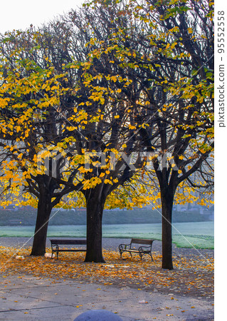 Zagreb Zagreb 95552558