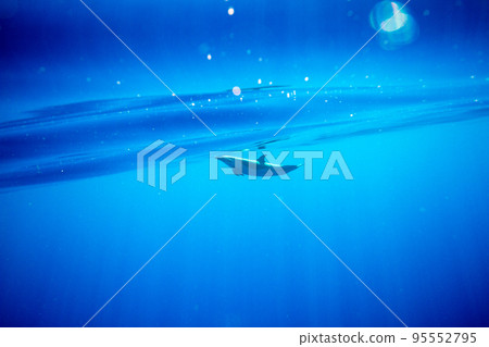 Dolphins swimming in the light Dolphins swimming in the light 95552795