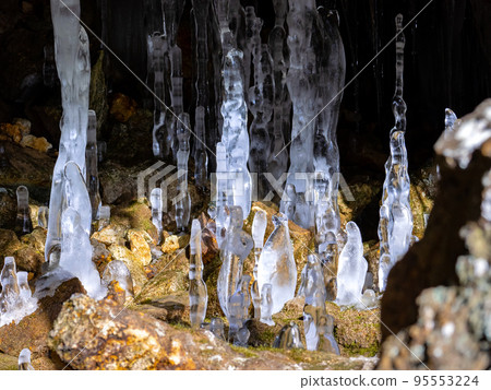 Growing ice bamboo shoots in Otaki Hyakujojiki Cave (Otaki Ward, Date City, Hokkaido) Growing ice bamboo shoots in Otaki Hyakujojiki Cave (Otaki Ward, Date City, Hokkaido) 95553224