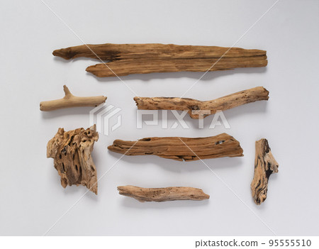 Driftwood of various shapes lined up 95555510