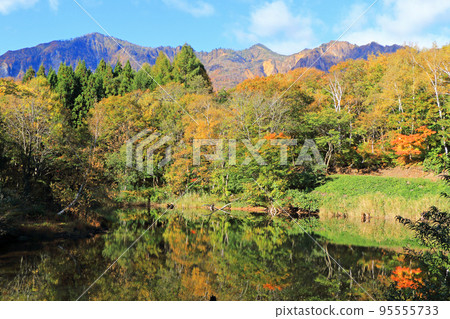 Kinshu's Akiyama-go Morning Amaike 95555733