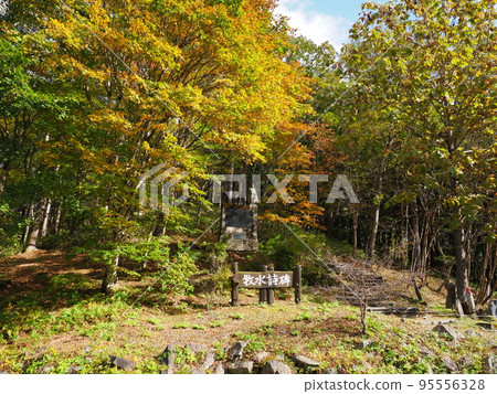 Kuresaka Pass in Autumn (Gunma Prefecture) 95556328