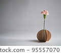 pink chrysanthemum on white background 95557070