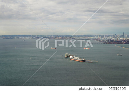 Tokyo Bay seen from an airplane Tokyo Bay seen from an airplane 95559305