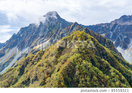 Autumn leaves on the north ridge Maehotaka and Minamine 95559321