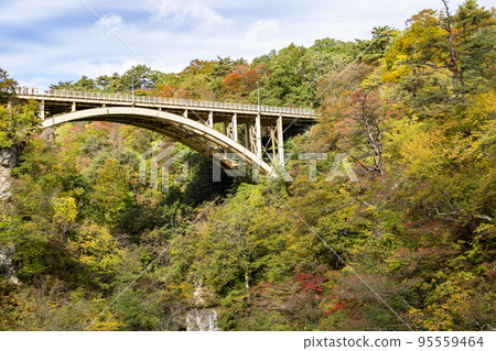 Scenery of autumn leaves Mikaeri Bridge in Naruko Gorge Osaki City, Miyagi Prefecture 95559464