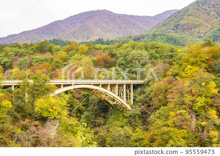 Scenery of autumn leaves Mikaeri Bridge in Naruko Gorge Osaki City, Miyagi Prefecture 95559473