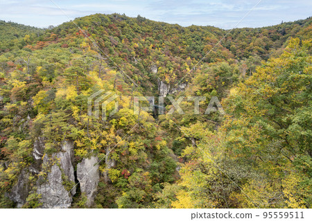 Scenery of autumn leaves Naruko Gorge in autumn Osaki City, Miyagi Prefecture 95559511
