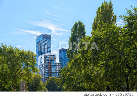 Administrative center in Warsaw, Business office buildings in downtown central district with green trees, Skyscrapers with glass facade against blue sky Administrative center in Warsaw, Business office buildings in downtown central district with green trees, Skyscrapers with glass facade against blue sky 95559735
