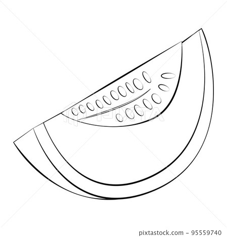 A slice of melon in a thin line. Vector on a white background A slice of melon in a thin line. Vector on a white background 95559740
