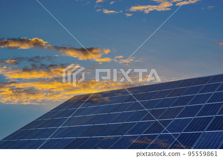 Blue photovoltaic solar panels at twilight 95559861
