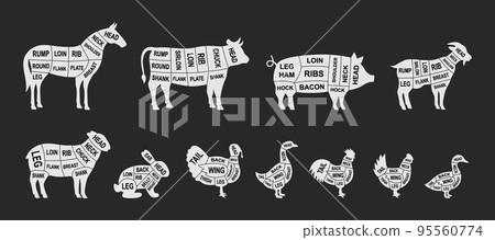 Farm animals scheme cuts set. Pig, Horse, Turkey, Goat, Sheep, Chicken, Rooster, Duck, Rabbit, Goose, Cow cuts of meats. Meat diagram illustration 95560774