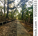 road  95560833