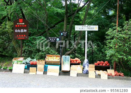 A stall next to the Hyuga Yakushi parking lot 95561280