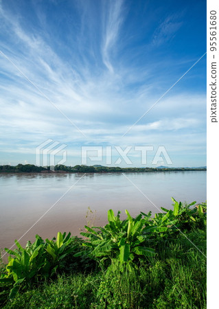 The scenery of the Mekong River at Kaeng Khut Khu, Chiang Khan, Loei Province. 95561680