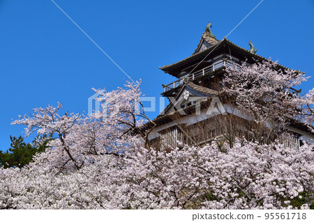 Sakurakage Maruoka Castle Sakurakage Maruoka Castle 95561718