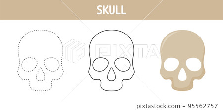 Skull tracing and coloring worksheet for kids 95562757