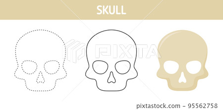Skull tracing and coloring worksheet for kids Skull tracing and coloring worksheet for kids 95562758