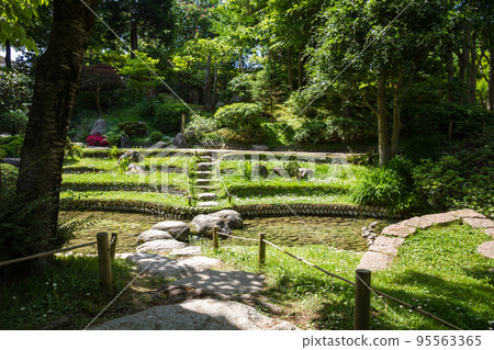 Pond in a japanese garden 95563365