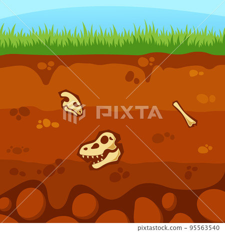 Underground Layer Structure With Reptile Fossils, Soil With Dinosaur Skeleton Skulls And Bones. Jurassic Era Animals 95563540
