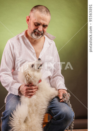 Portrait of an elderly bearded man with a samoyed puppy Portrait of an elderly bearded man with a samoyed puppy 95563891