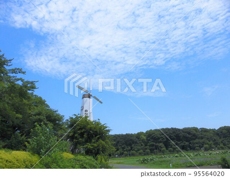 Summer blue sky, white clouds and Dutch windmill in Saitama city 95564020