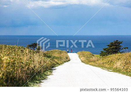 [Wakkanai City, Hokkaido] Japan's Northernmost Seashell Covered "White Road" Cape Soya October 95564103