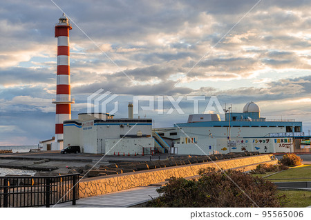 [北海道/稚內市]野寒布岬和稚內燈塔 95565006