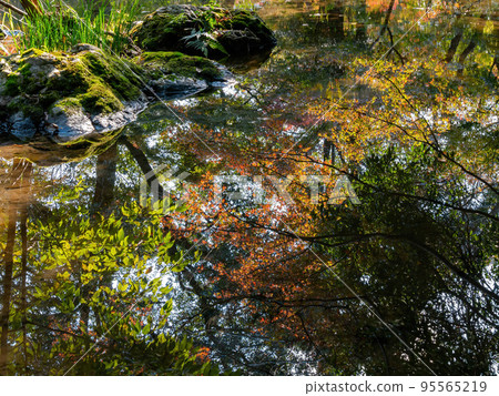 Daytime view of the fall color around Takano River 95565219