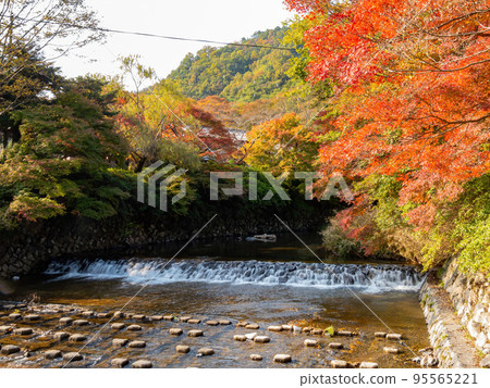 Daytime view of the fall color around Takano River 95565221