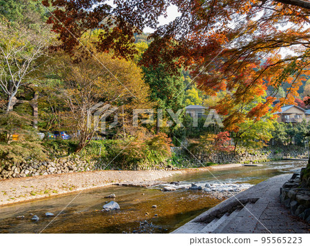 Daytime view of the fall color around Takano River 95565223