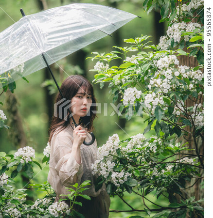 Woman holding white carmelia and umbrella 95565874