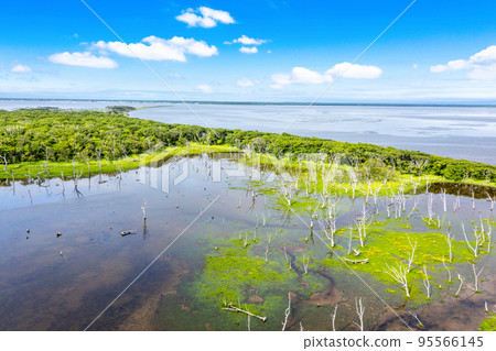 野付半島的戶原(北海道別海町)*遠處的國後島 野付半島的戶原(北海道別海町)*遠處的國後島 95566145