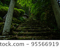 Human activities that remain at the end of the moss-covered stairs 95566919