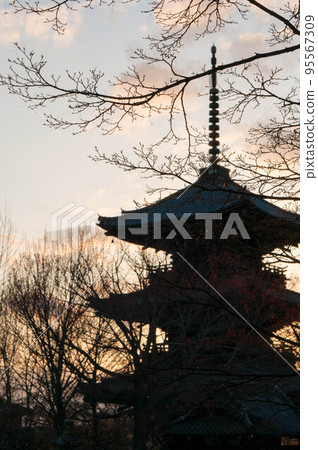 Kyoto Winter dusk and five-storied pagoda silhouette 95567309